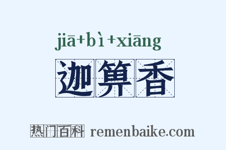 迦箅香是什么意思的图片
